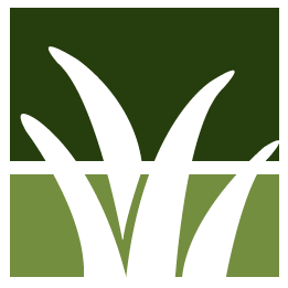 Bonita Springs Lawn Clean Up
