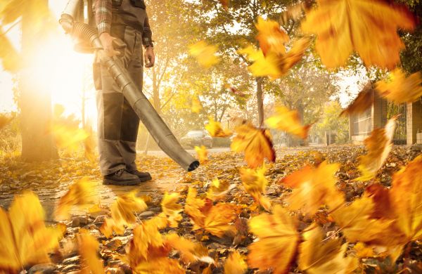 Leaf Blowing Service in Bonita Springs