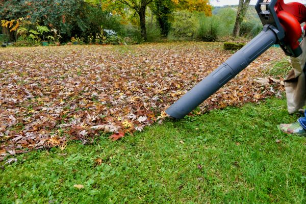 Leaf Vacuuming Service in Bonita Springs