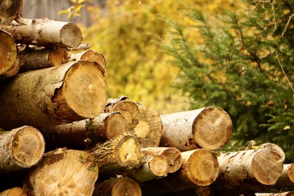 Wood Pile Removal in Bonita Springs