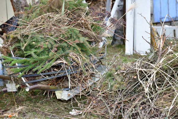 Yard Debris Removal in Bonita Springs