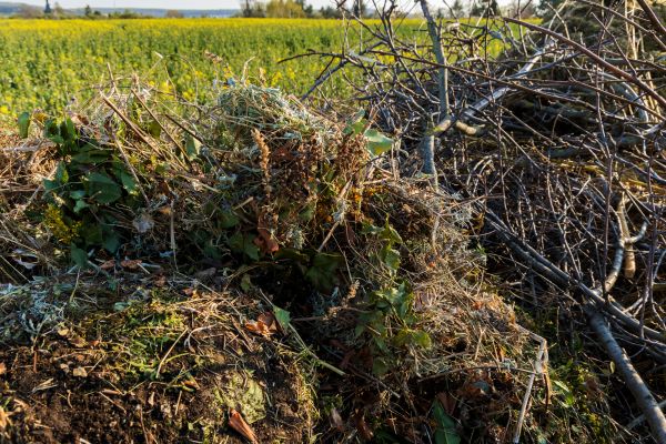 Brush Disposal in Bonita Springs
