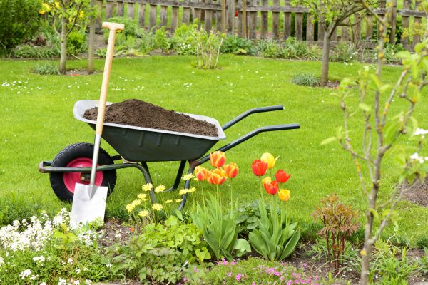 Cost of Spring Yard Cleanup in Bonita Springs
