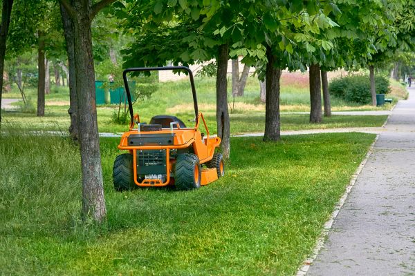 Landscaping Cleanup Service in Bonita Springs