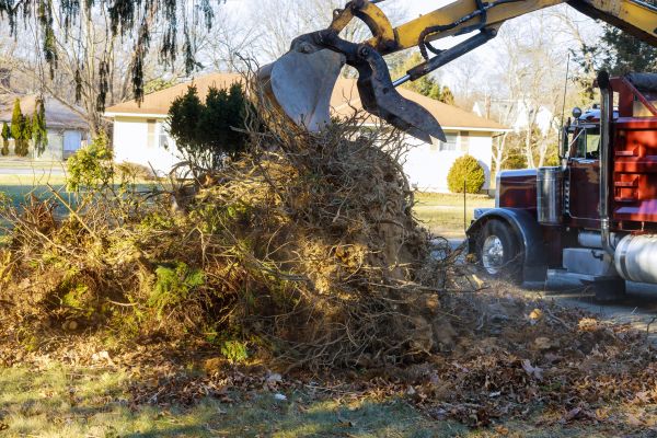Storm Debris Removal in Bonita Springs