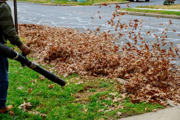 Cost of Garden Leaf Removal in Bonita Springs