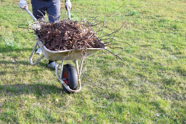 Yard Brush Removal in Bonita Springs