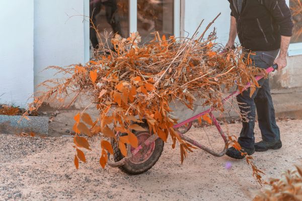 Cost of Lawn Debris Cleanup in Bonita Springs