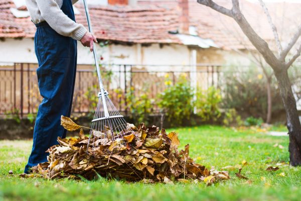 Spring Lawn Cleanup in Bonita Springs