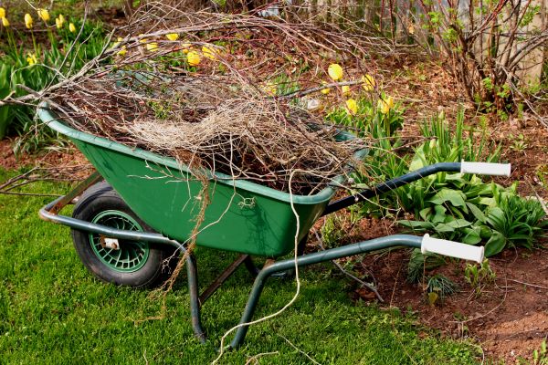 Lawn Waste Removal in Bonita Springs