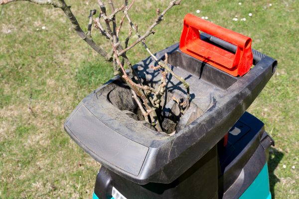 Cost of Brush Cleanup Service in Bonita Springs