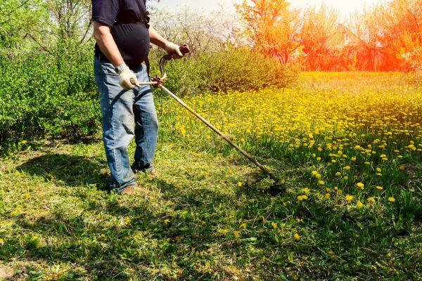 Yard Clearing Service in Bonita Springs