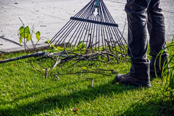 Yard Debris Cleanup in Bonita Springs