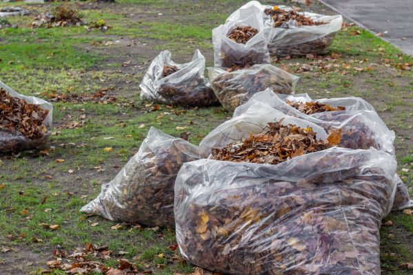 Leaf Pile Disposal in Bonita Springs