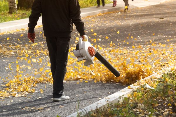Commercial Leaf Removal in Bonita Springs
